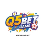 Q5Bet Game