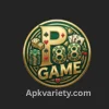 p88 game