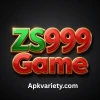 zs 999 game