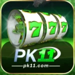 PK11 game