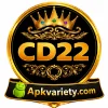 CD 22 Game