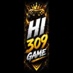 HI309 Game