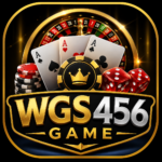 WGS456 Game